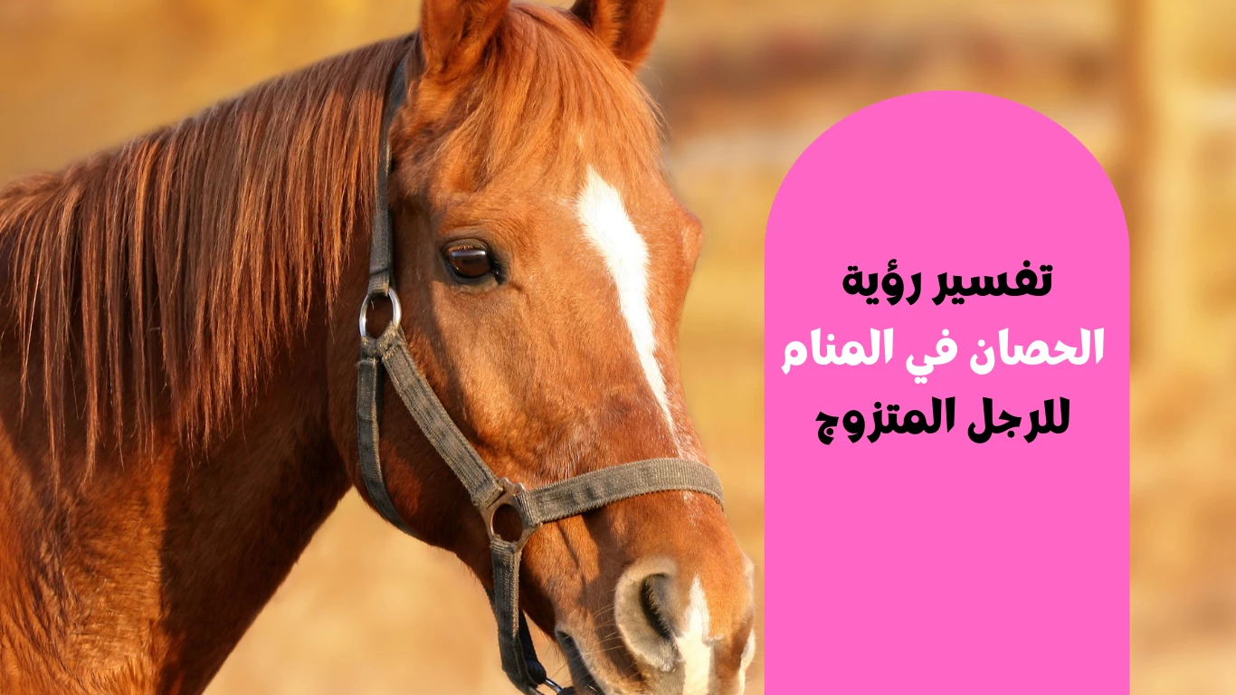 تفسير رؤية الحصان في المنام للرجل المتزوج